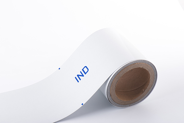 印度 白色 車牌膜細節圖網站.jpg